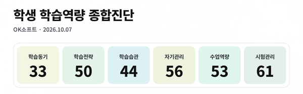 영역별 진단 점수 결과 화면