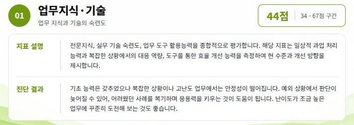 역량별 결과 해석 화면