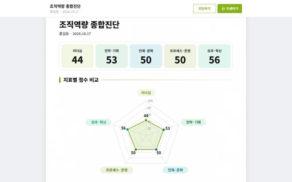 조직역량 진단 결과 화면