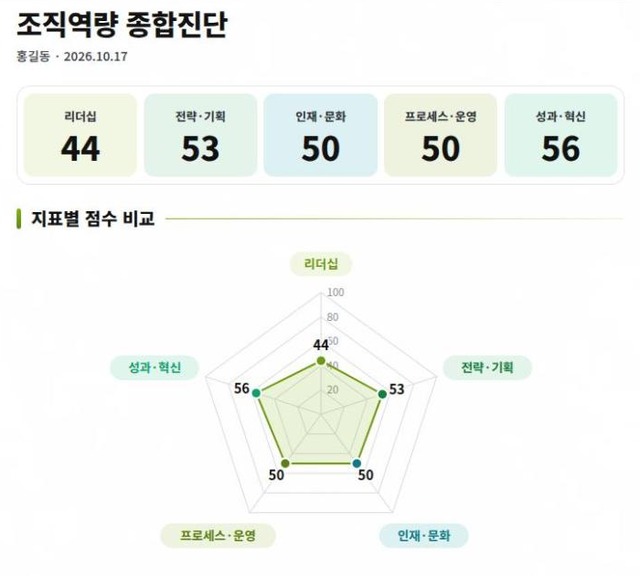 조직역량 진단 결과 그래프 리포트